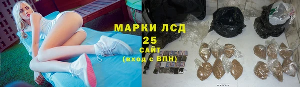 PSILOCYBIN Россошь