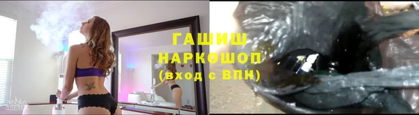 стафф Ростов