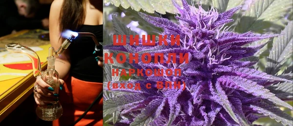 стафф Ростов