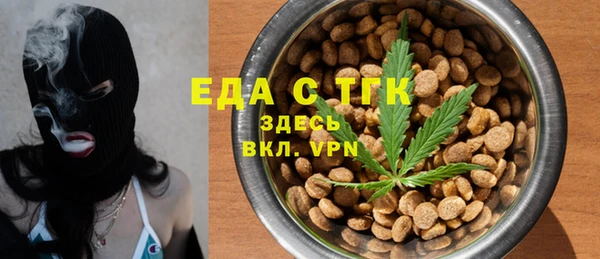 МДПВ Рославль