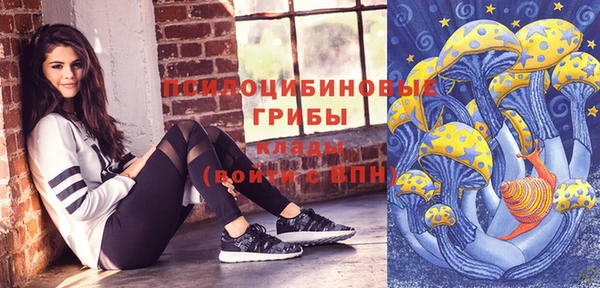 МДПВ Рославль