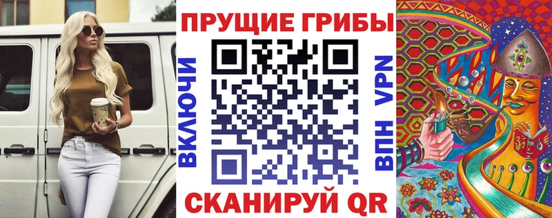 MEGA рабочий сайт  Кондопога  даркнет официальный сайт  Псилоцибиновые грибы прущие грибы 