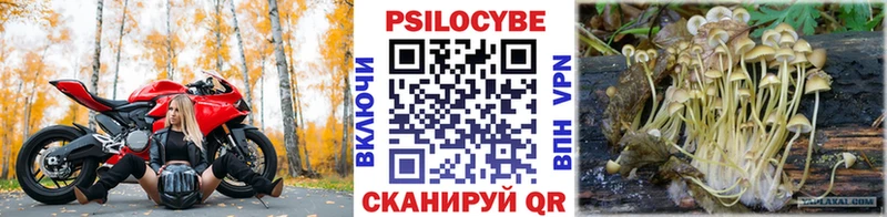 Галлюциногенные грибы MAGIC MUSHROOMS Кондопога